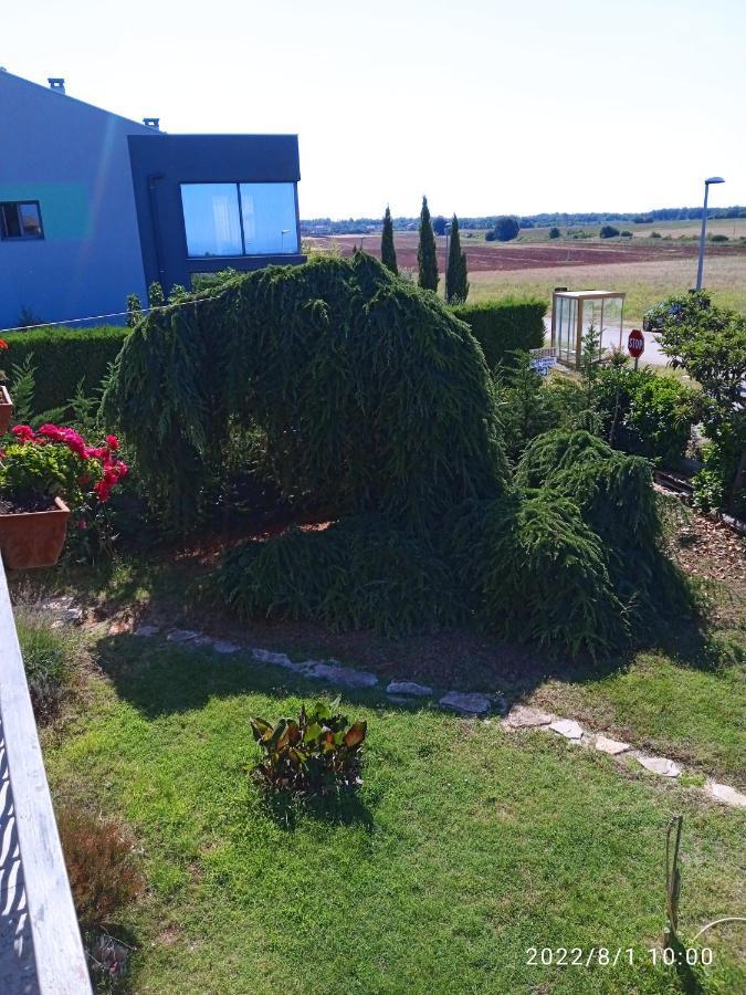 Ribic Apartment Umag