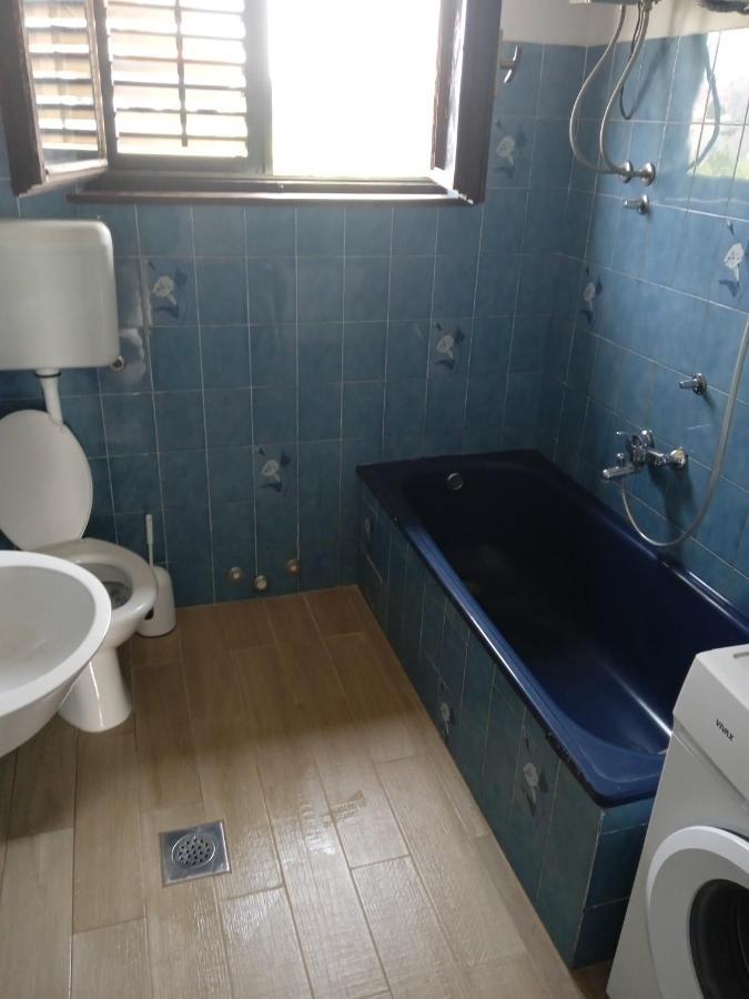 Ribic Apartment